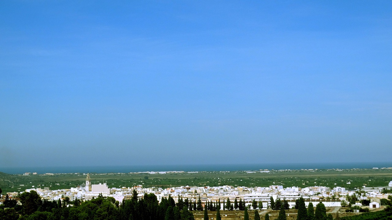 揭秘2023年5月新会陈皮市场行情，最新动态与趋势分析