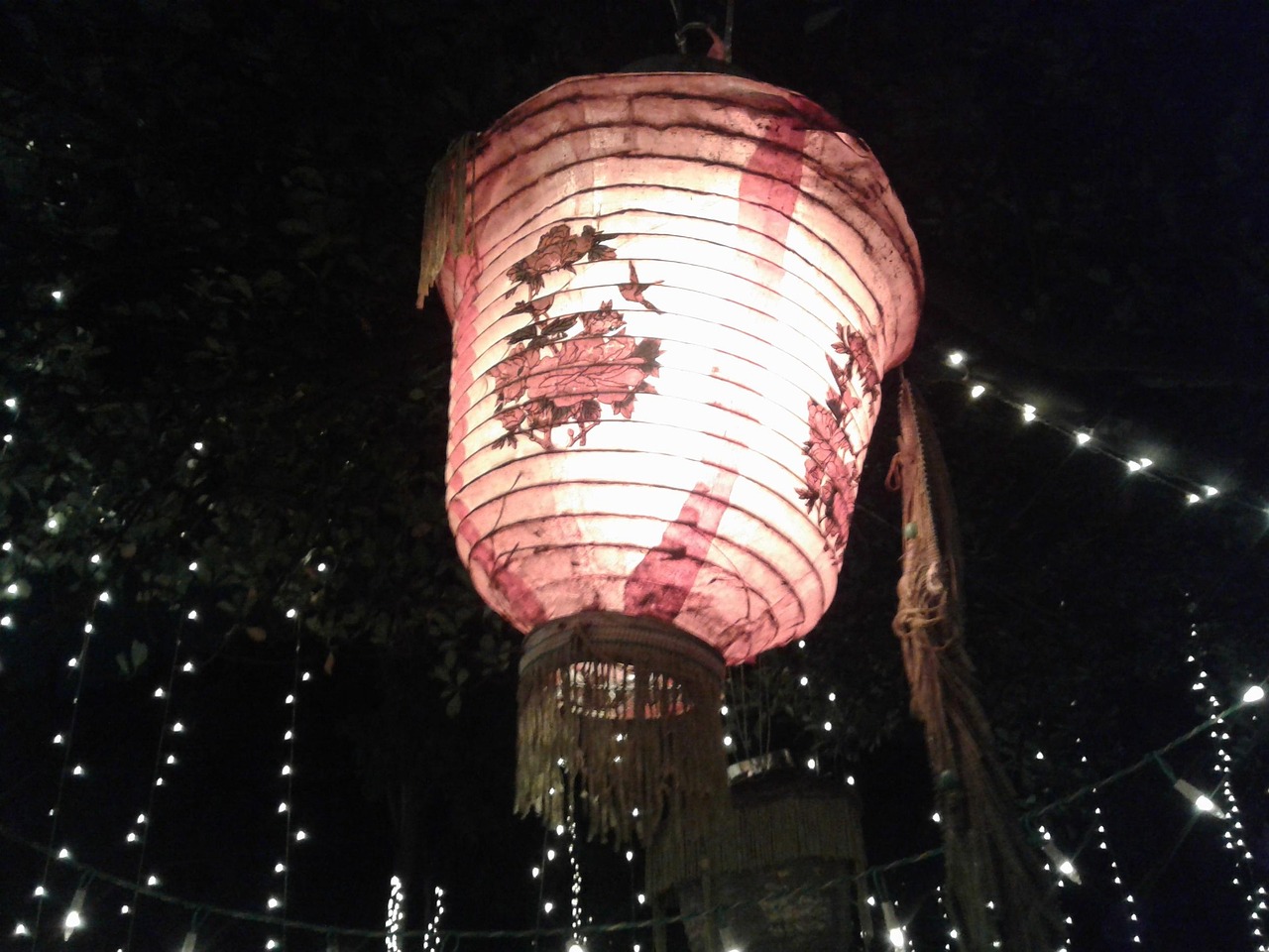 月圆号盛宴，音乐与梦想的交响之夜