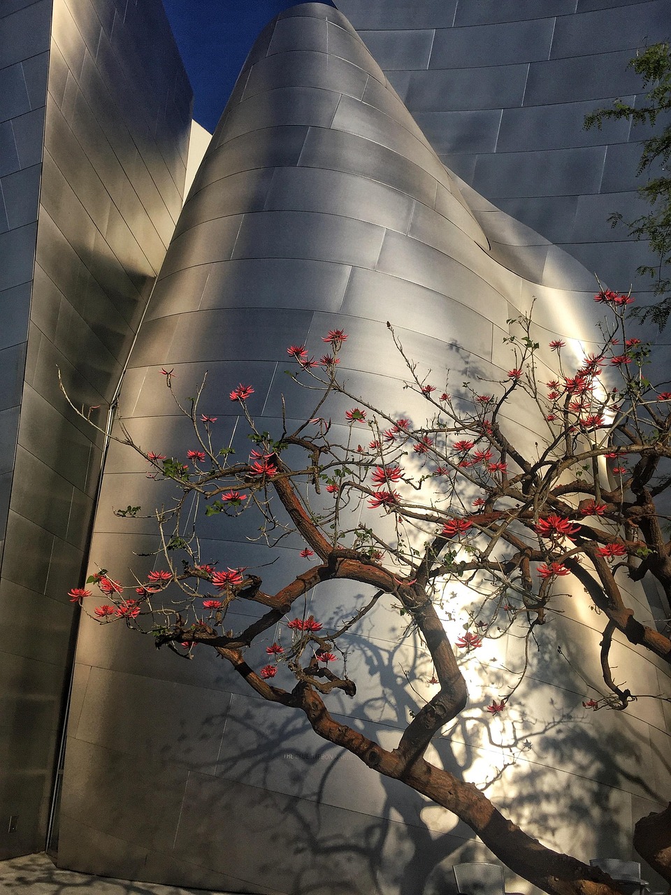 五月怀集房产项目概览，最新动态与未来展望