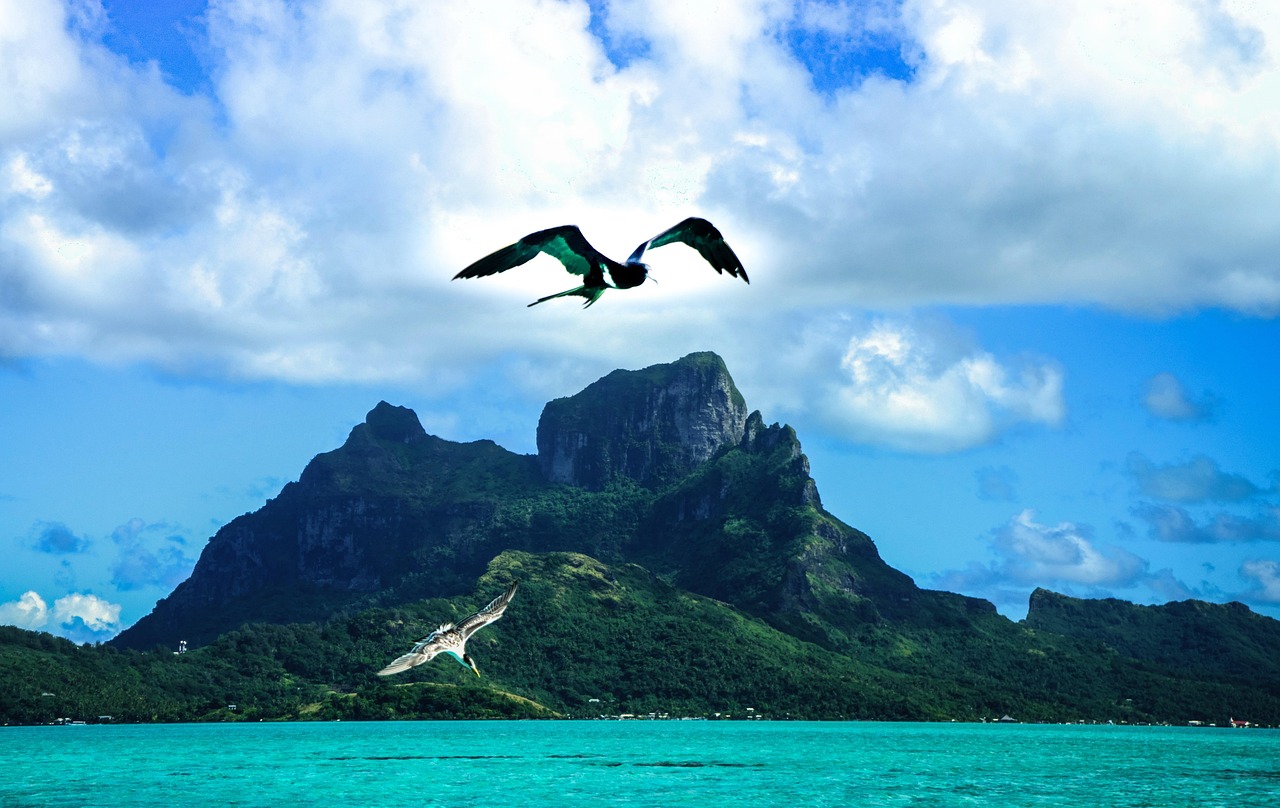 五月赶海之旅，探寻海洋宝藏的激情之旅。